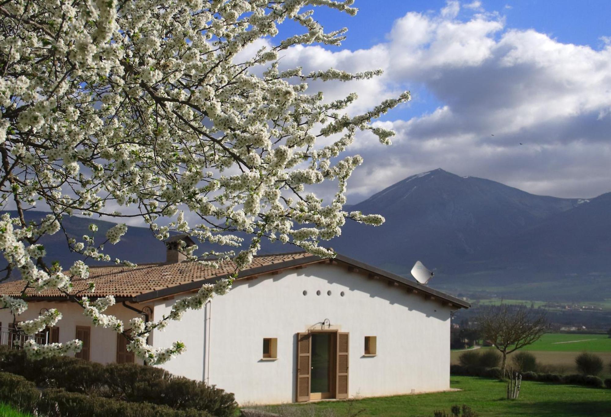 Agriturismo La Cascina Di Opaco Νόρτσια Εξωτερικό φωτογραφία