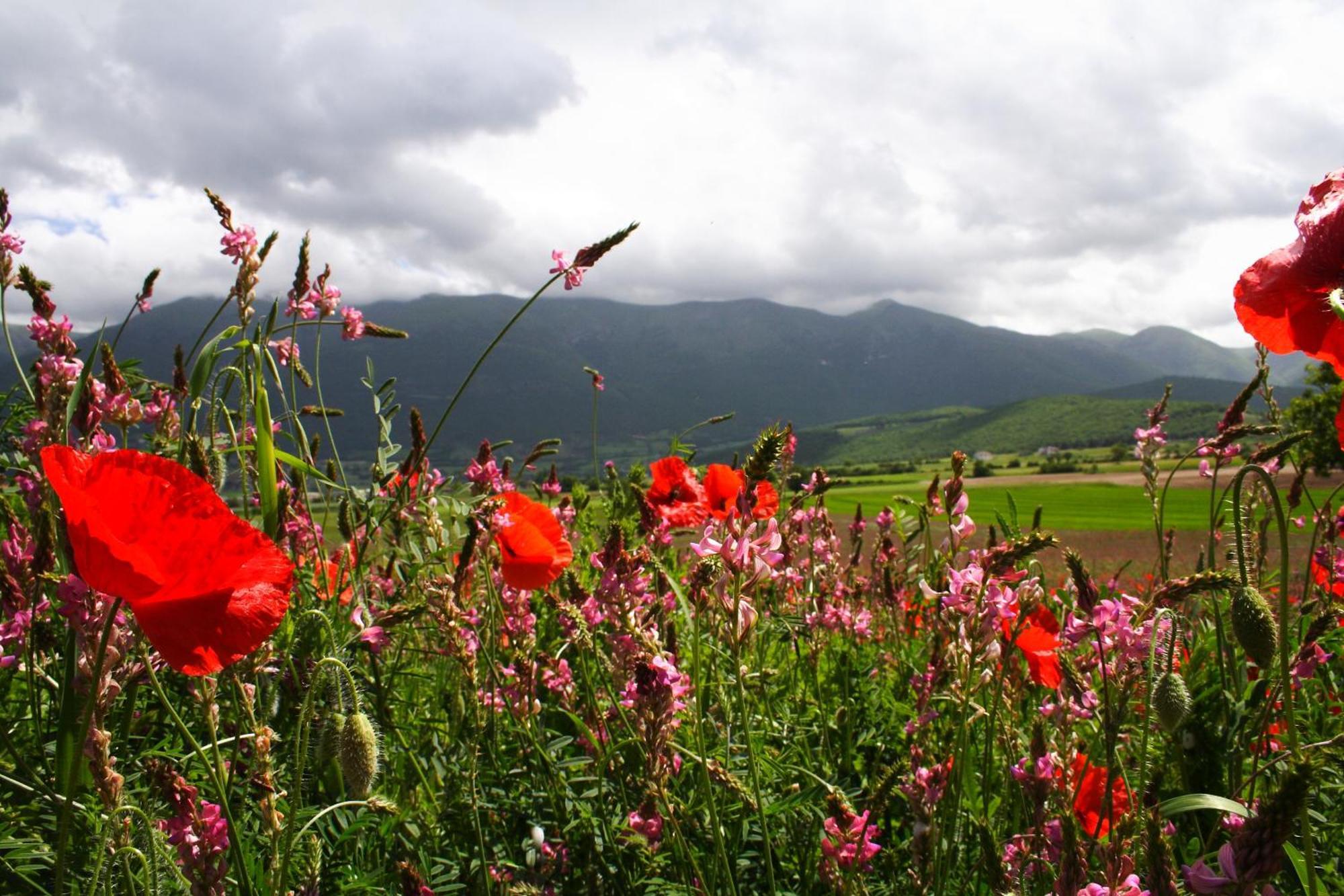 Agriturismo La Cascina Di Opaco Νόρτσια Εξωτερικό φωτογραφία