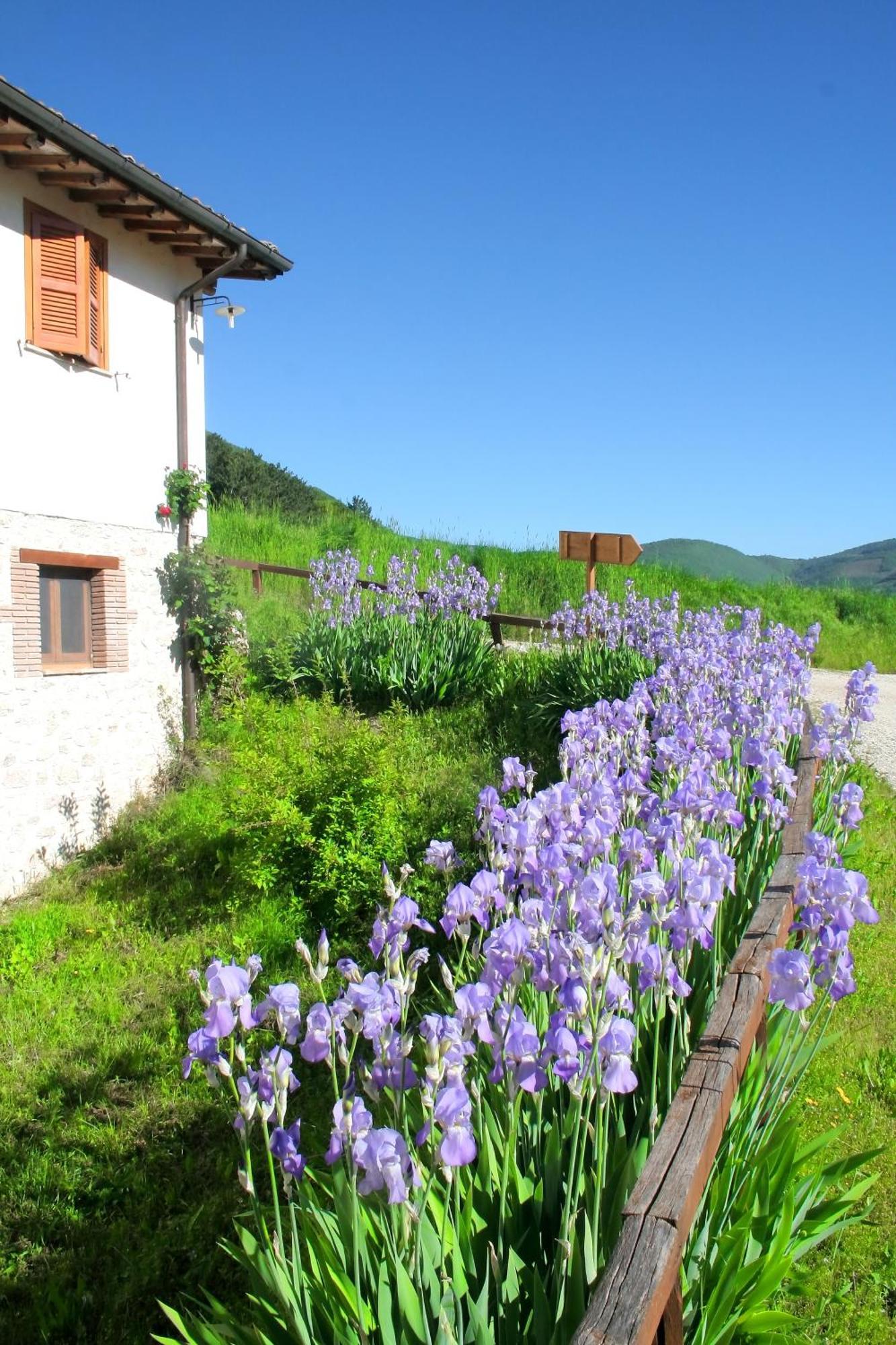 Agriturismo La Cascina Di Opaco Νόρτσια Εξωτερικό φωτογραφία